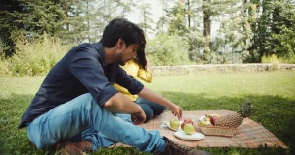 공원에서 즐거운 소풍을 즐기는 부부들 — 비디오