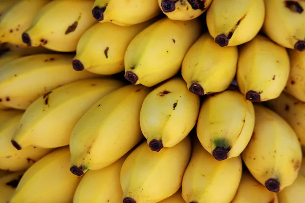 Antecedentes Uma Variedade Bananas Maduras — Fotografia de Stock