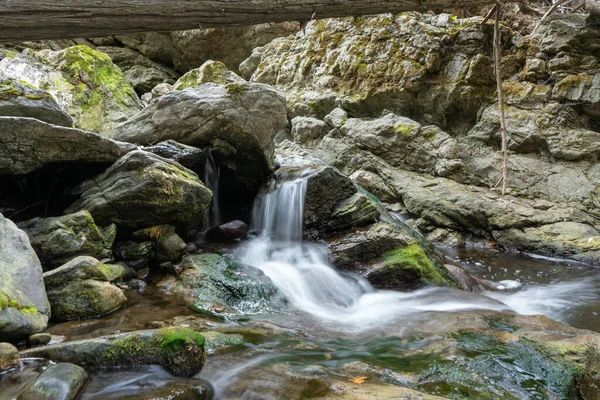 Una Piccola Cascata Nel Creek Falls Trail Vernon Canada — Foto Stock