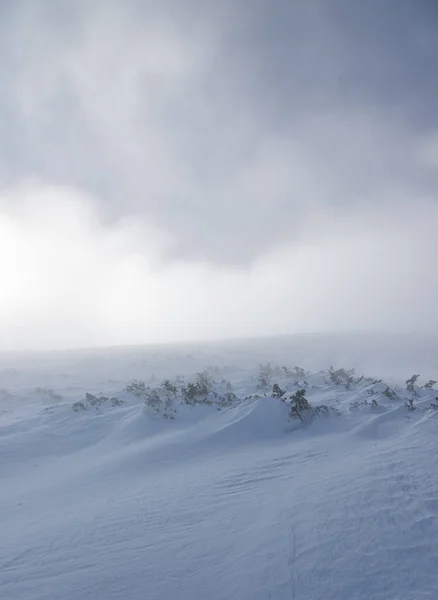Туманная Сцена Облачного Неба Над Заснеженными Пейзажами — стоковое фото