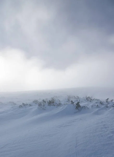 Una Scena Nebbiosa Del Cielo Nuvoloso Paesaggi Innevati — Foto Stock