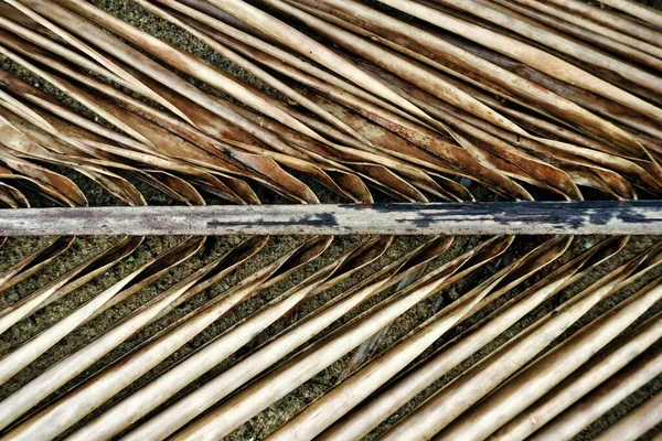 Αποξηραμένα Φύλλα Καρύδας Στο Χωριό Που Χρησιμοποιούνται Για Την Κατασκευή — Φωτογραφία Αρχείου