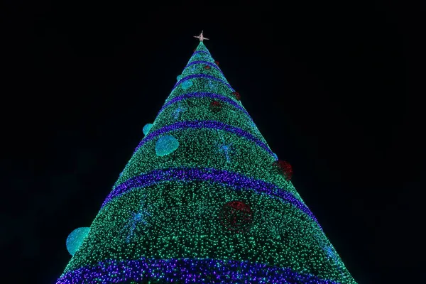 Een Lage Hoek Opname Van Een Lichtende Kerstboom Avond — Stockfoto