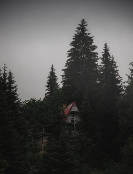 Plano Vertical Una Casa Medio Bosque Durante Clima Niebla — Foto de Stock