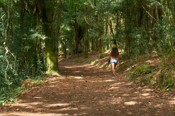 Eine Rückansicht Einer Frau Auf Einem Wanderweg Wald — Stockfoto