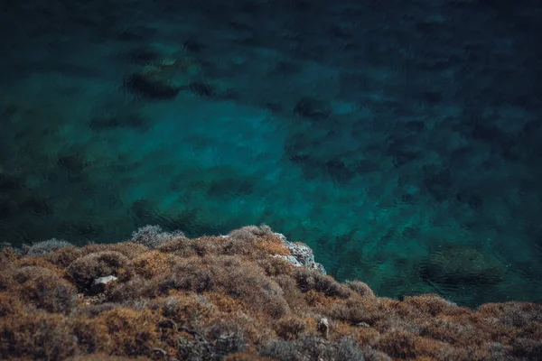 Eine Nahaufnahme Von Korallenriffen Und Dem Blauen Meer — Stockfoto