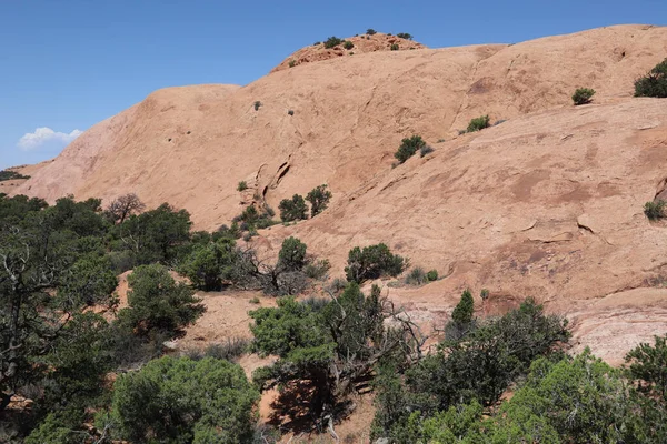 Naturskön Utsikt Över Karga Röda Klipplandskap Canyonlands Nationalpark Nära Moab — Stockfoto