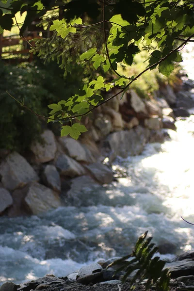 Uma Vista Natural Rio Que Corre Jusante Tauern Salzburgo Áustria — Fotografia de Stock