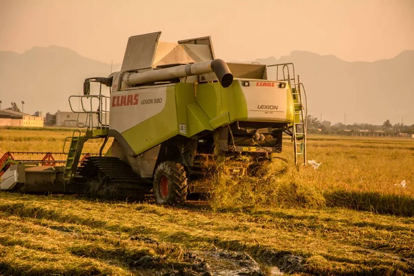 Sueca Espagne Sept 2021 Une Machine Agricole Travaillant Dans Domaine — Photo
