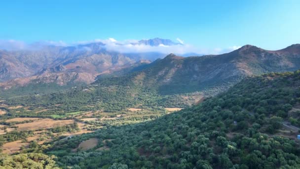 Ovanın Panoramik Manzarası Orman Arka Planda Dağlar — Stok video