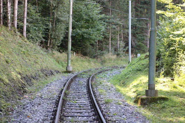 Eine Aufnahme Einer Eisenbahn Die Durch Die Wunderschöne Natur Fährt — Stockfoto