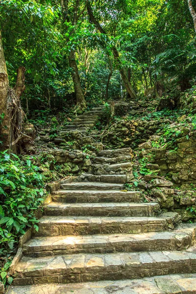 Een Verticaal Shot Van Trap Een Park — Stockfoto