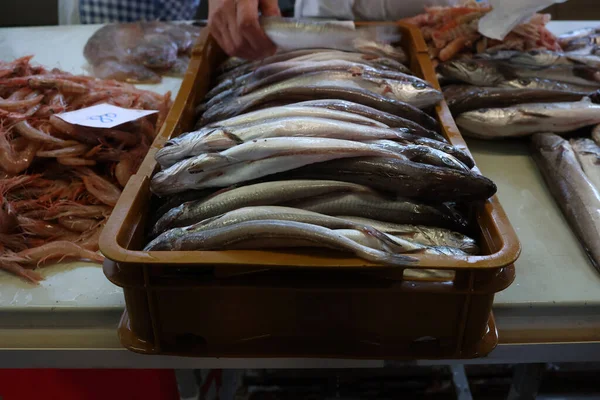 Különböző Tengeri Halak Egy Horvátországi Halpiacon — Stock Fotó