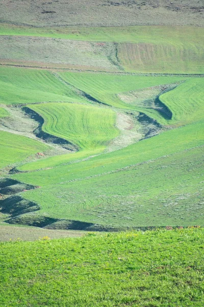 アルジェリア バトナのAures地域からの緑のフィールドと山の景色 — ストック写真