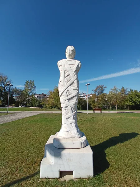 Een Verticaal Shot Van Een Monument Een Park — Stockfoto