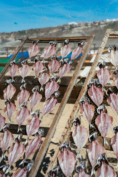 Fish Drying Outdooro Traditional Way — Stock Photo, Image