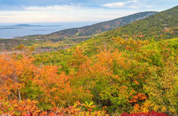 Красивый Снимок Пейзажа Течение Дня Осенью — стоковое фото
