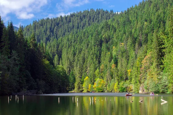 Lacul Rosu Roumanie Sept 2021 Paysage Automnal Avec Lac Rouge — Photo