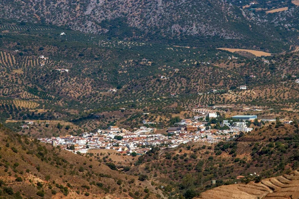 Uma Vista Aérea Casas Brancas Oliveiras Paisagem Andaluza Espanha — Fotografia de Stock