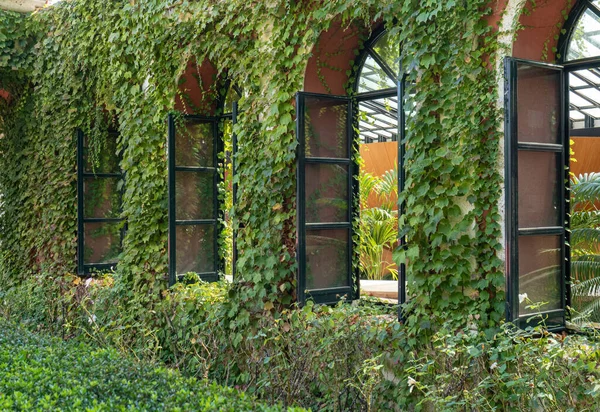 在植物园里 一张覆盖着树叶的建筑物的漂亮照片是 — 图库照片