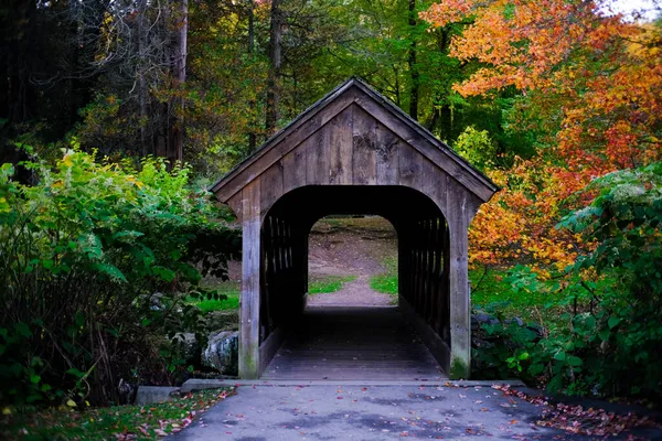走进森林的木制隧道桥的美丽景色 — 图库照片