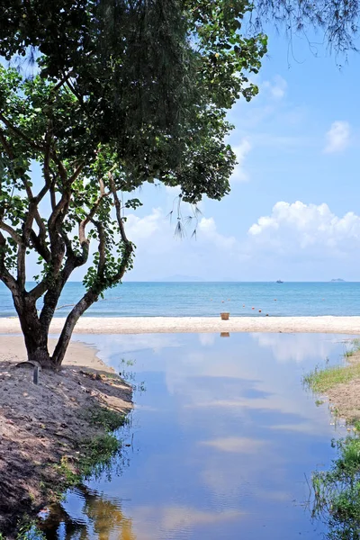 Plano Vertical Una Playa Soleada Con Árboles Hong Kong — Foto de Stock