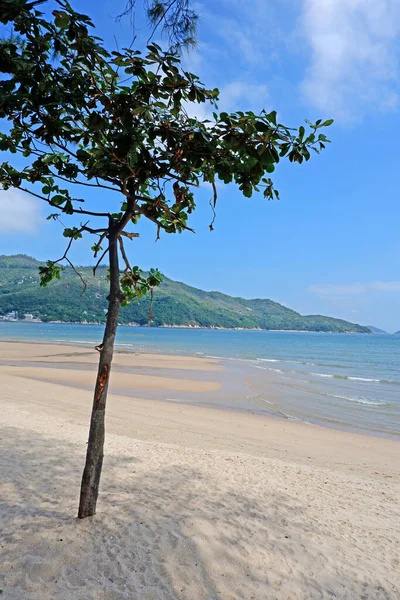 Eine Vertikale Aufnahme Eines Sonnigen Strandes Mit Bäumen Hongkong — Stockfoto