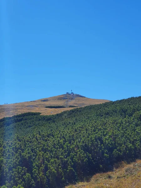 Uitzicht Een Prachtig Bergachtig Landschap Met Dichte Bomen Nida Curonian — Stockfoto