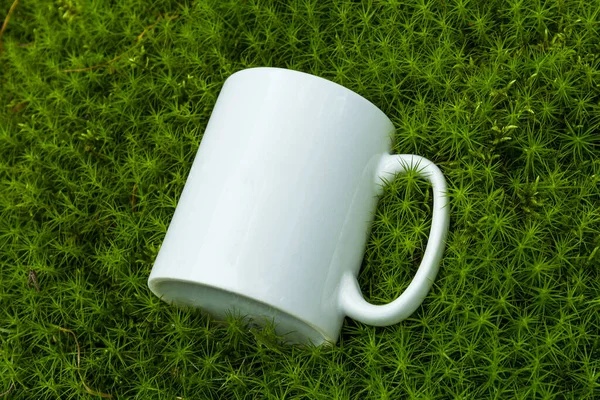 Cup Grass — Stock Photo, Image