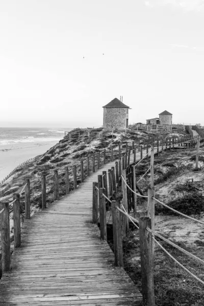 Серый Кадр Деревянного Моста Пирса — стоковое фото