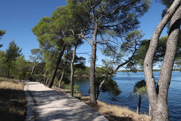Ścieżka Wzdłuż Wybrzeża Kanału Antoniego Szybeniku Chorwacja Przeciwko Błękitnemu Niebu — Zdjęcie stockowe
