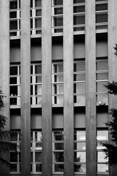 Une Échelle Gris Bâtiment Moderne Grande Hauteur Extérieur — Photo