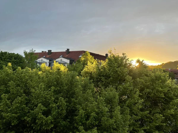 Крыша Дома Густой Листвой Восходе Солнца — стоковое фото