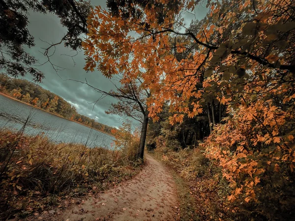 Wąska Ścieżka Otoczona Drzewami Rzeką Pod Zachmurzonym Niebem Wieczorem Jesienią — Zdjęcie stockowe