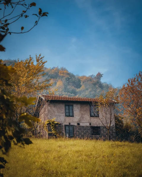 Vysoký Úhel Záběru Malého Domku Ukrytého Uprostřed Lesa — Stock fotografie