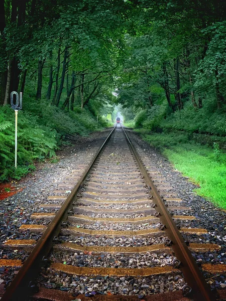 Vertical Shot Train Track Forest Covered Greenery Daylight — Stock Photo, Image