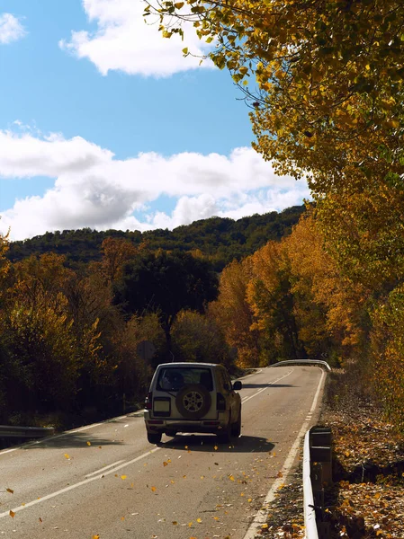 가을에 숲으로 둘러싸인 길에서 운전하는 수직으로 — 스톡 사진