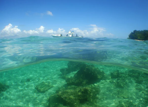 Riffen Onder Zee Het Onderwaterleven — Stockfoto