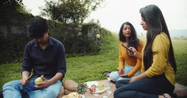 Gruppe Von Freunden Genießt Picknick Park — Stockvideo