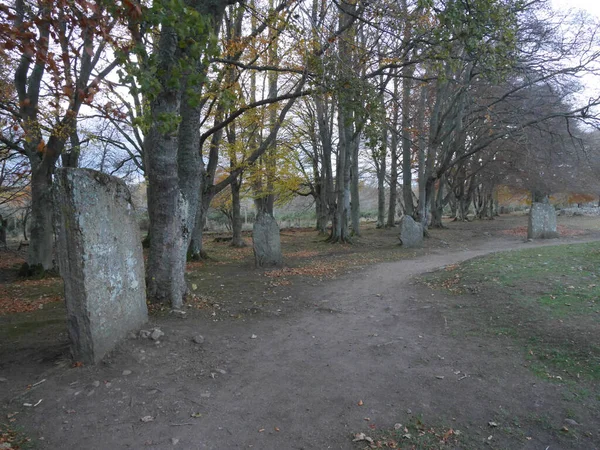 Een Pad Een Park Met Stenen Hekken — Stockfoto