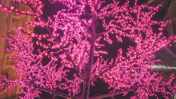 Kerstboom Met Roze Elektrische Verlichting — Stockfoto