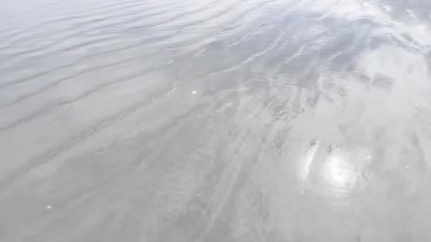 Κύματα Νερού Στο Ποτάμι — Αρχείο Βίντεο