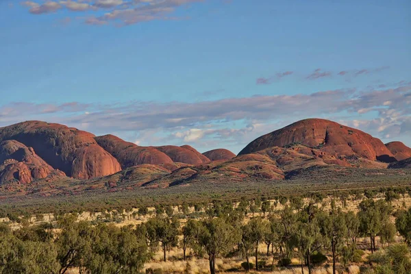 Paysage Kata Tjuta Entouré Arbres Sous Lumière Soleil Australie — Photo