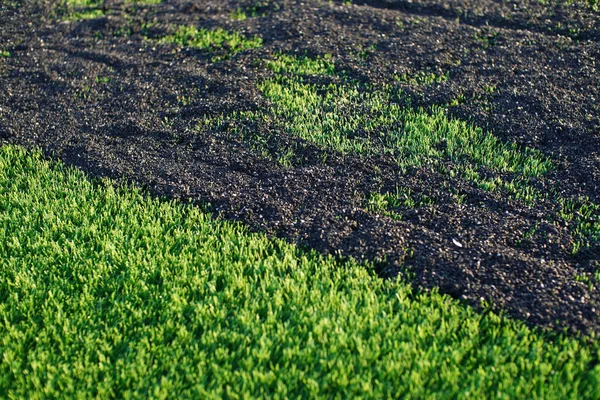 人工芝を用いた人工芝サッカー場 緑の人工芝面とゴム顆粒 ヨーロッパのサッカー場 — ストック写真