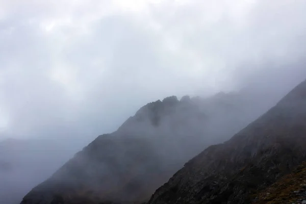 Hermoso Paisaje Con Niebla Sobre Bosque — Foto de Stock