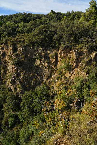 晴れた日に濃い木の緑の岩の山の垂直ショット — ストック写真
