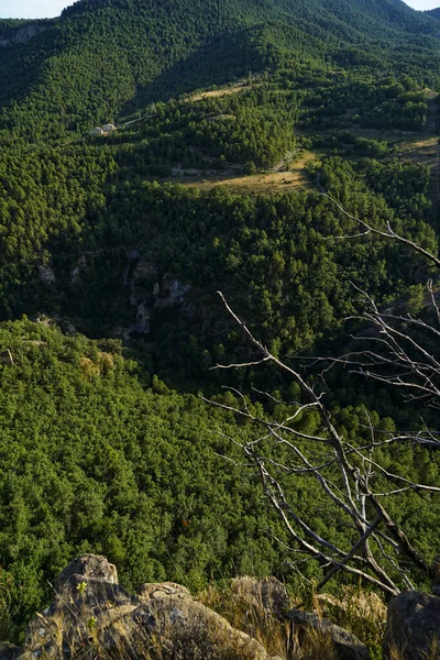 晴れた日に濃緑色の山の垂直ショット — ストック写真