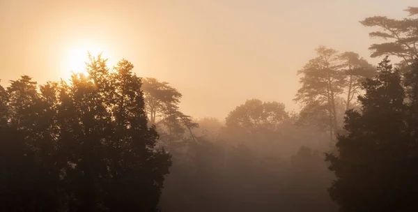 Amanecer Brumoso Parque Nacional Battlefield Manassas — Foto de Stock