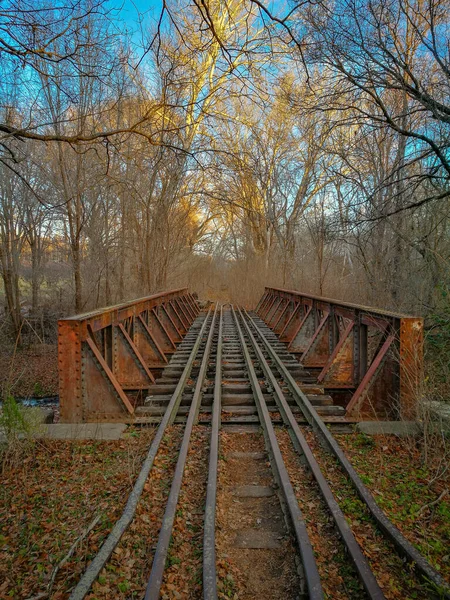 Vertikální Záběr Lesa Bezlistými Stromy Železnicemi Projíždějícími Přes Most — Stock fotografie
