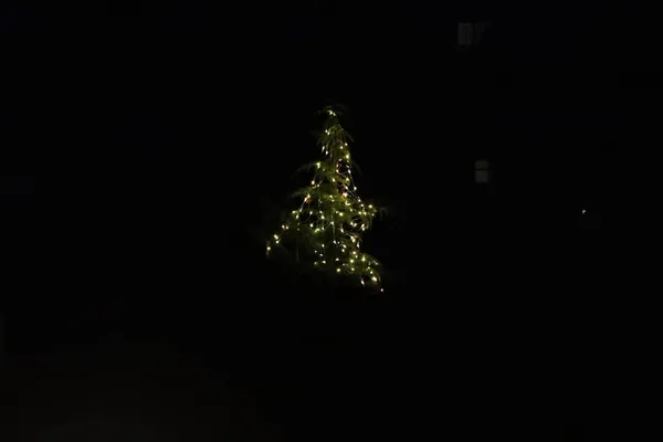 Ein Weihnachtsbaum Mit Hellem Licht Einer Dunklen Nacht — Stockfoto
